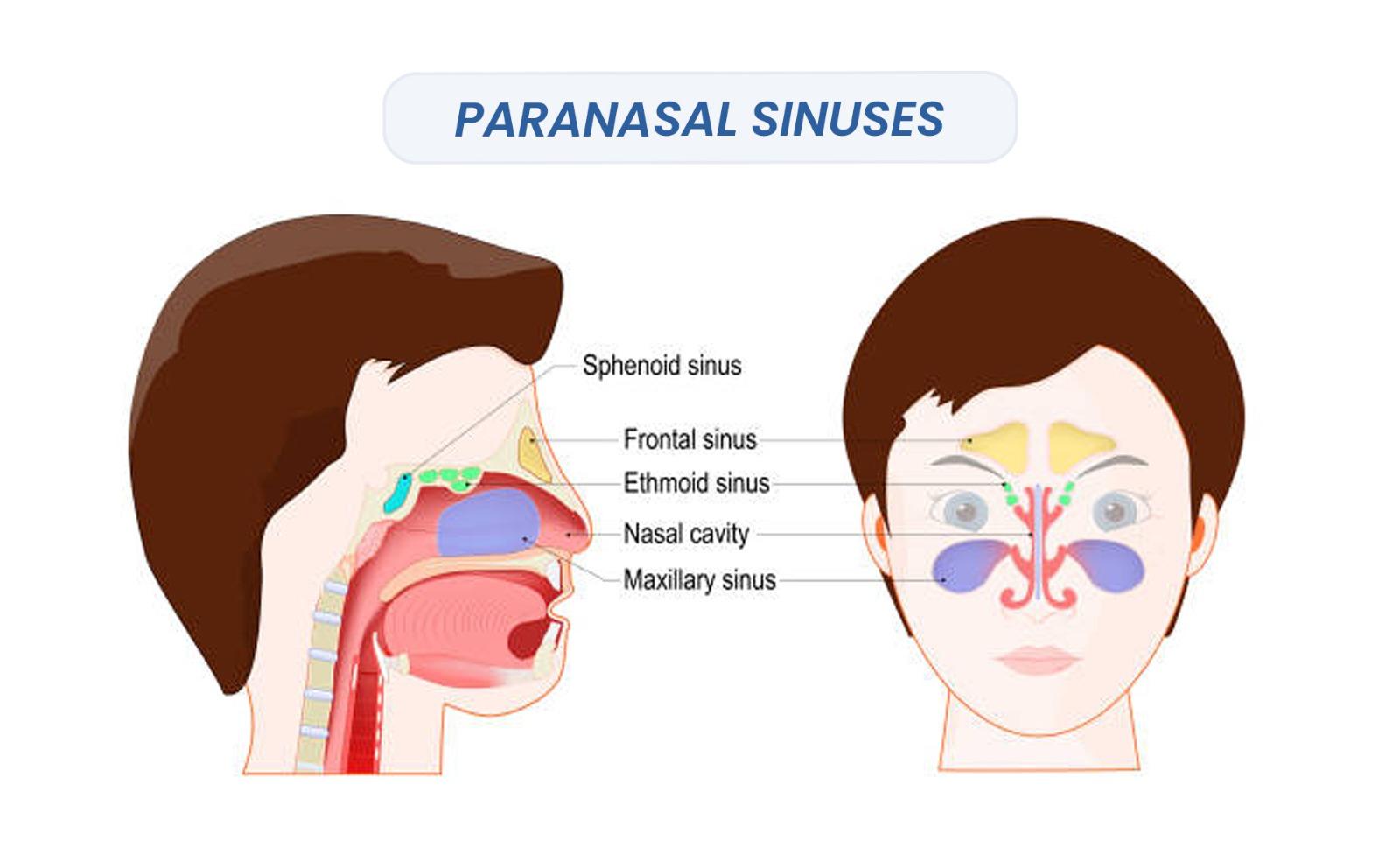 Zygomatic Dental Implants for Sinus Problem 